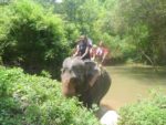 Ride an Elephant in Thailand