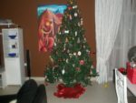 Our Xmas Tree this year