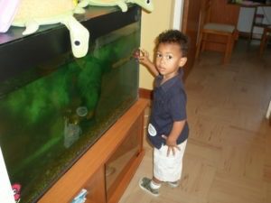 amani138 (My First 3 Yrs)