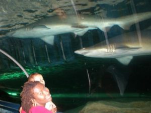 amani81 (My First 3 Yrs)