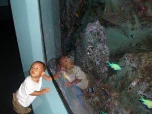 amani85 (My First 3 Yrs)