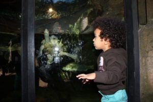 malaika115 (My First 3 Yrs)