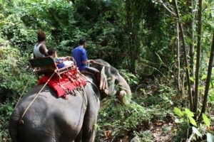 Krabi 2009 (Family Holiday Krabi, Thailand. 2009)