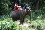 Amani and I on an Elephant tour