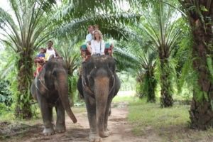 Krabi 2009 (Family Holiday Krabi, Thailand. 2009)