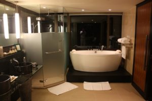 Banyan Tree Bangkok (@Banyan Tree Hotel Bangkok, Thailand. July 2010)