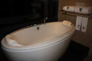 Banyan Tree Bangkok (@Banyan Tree Hotel Bangkok, Thailand. July 2010)