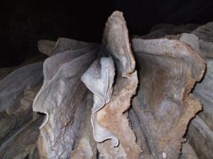 Krabi 2007 (The Family Krabi, Thailand. 2007)