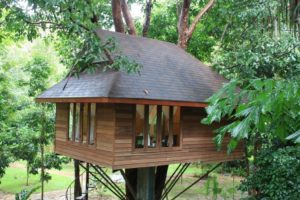 Khao Sok 2011 (Khao Sok Thailand, July 2011)