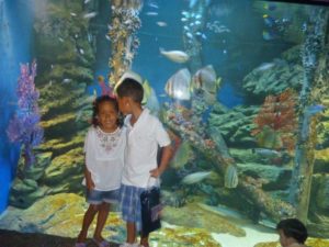 Labua 2011 (Labua State Tower Hotel, Bangkok. July, 2011)