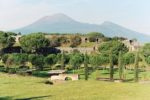 Garden in Pompeii