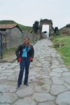 The entry to Pompeii 