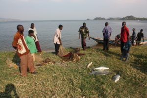 Musoma (Musoma, Tanzania)