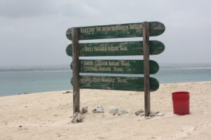 dar Feb.2011 (Dar es Salaam, Feb.2011)