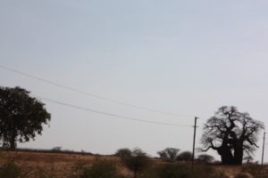 Mwanza 2011 (Mwanza Trip. Aug, 2011)