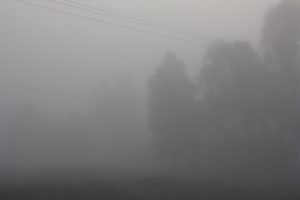 Mwanza 2011 (Mwanza Trip. Aug, 2011)