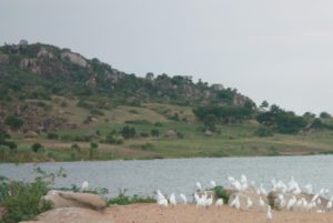 Musoma (Musoma, Tanzania)