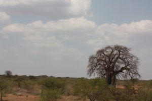 Mwanza 2011 (Mwanza Trip. Aug, 2011)