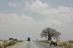 Mwanza 2011 (Mwanza Trip. Aug, 2011)