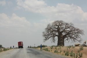 Mwanza 2011 (Mwanza Trip. Aug, 2011)