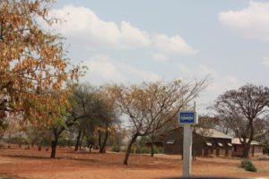 Mwanza 2011 (Mwanza Trip. Aug, 2011)