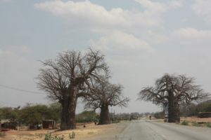 Mwanza 2011 (Mwanza Trip. Aug, 2011)