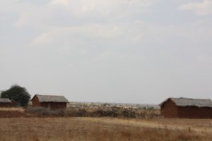 Mwanza 2011 (Mwanza Trip. Aug, 2011)