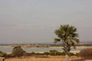 Mwanza 2011 (Mwanza Trip. Aug, 2011)