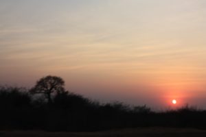 Mwanza 2011 (Mwanza Trip. Aug, 2011)