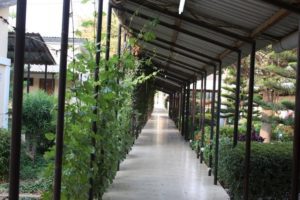 Mwanza 2011 (Mwanza Trip. Aug, 2011)