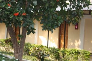 Mwanza 2011 (Mwanza Trip. Aug, 2011)