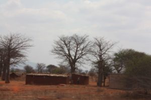 Mwanza 2011 (Mwanza Trip. Aug, 2011)