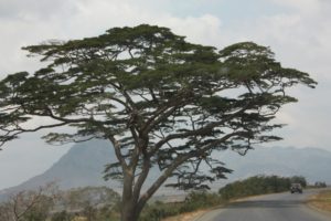 Mwanza 2011 (Mwanza Trip. Aug, 2011)