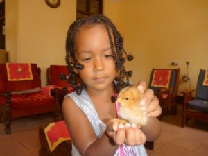 dar 2010 (Dar es Salaam, 2010)