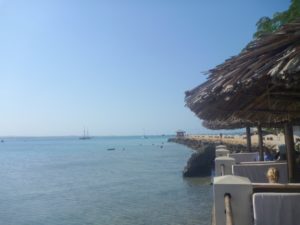 dar 2010 (Dar es Salaam, 2010)