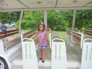 Khao Yai (Greenery Resort Hotel Khao Yai Thailand, July 2011)