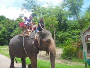 Khao Yai (Greenery Resort Hotel Khao Yai Thailand, July 2011)