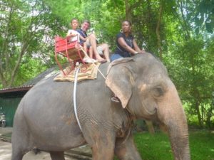Khao Yai (Greenery Resort Hotel Khao Yai Thailand, July 2011)