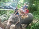 An Elephant ride with my family