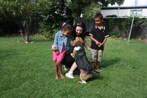 Adelaide 2011 (Adelaide Australia, 2011)