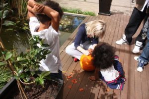 Adelaide 2011 (Adelaide Australia, 2011)