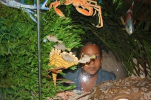 Adelaide 2011 (Adelaide Australia, 2011)