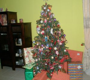 Xmas 2007 (Our Xmas holiday 2007)