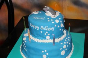 Amani 6th B. party (Amani’s 6th Birthday Party)