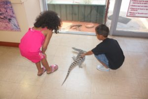 5 to 6yr (Happy 6th Birthday Amani Wangu)