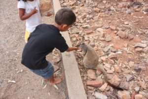 5 to 6yr (Happy 6th Birthday Amani Wangu)