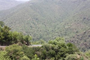 Dar 2012 (Lushoto, Tanzania Mar 2012. Part 1)