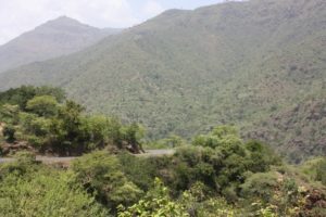 Dar 2012 (Lushoto, Tanzania Mar 2012. Part 1)