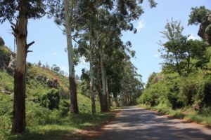 Dar 2012 (Lushoto, Tanzania Mar 2012. Part 1)