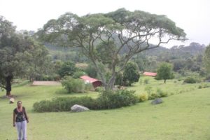 Dar 2012 (Swiss Farm Cottage Lushoto, Tanzania Part 1)
